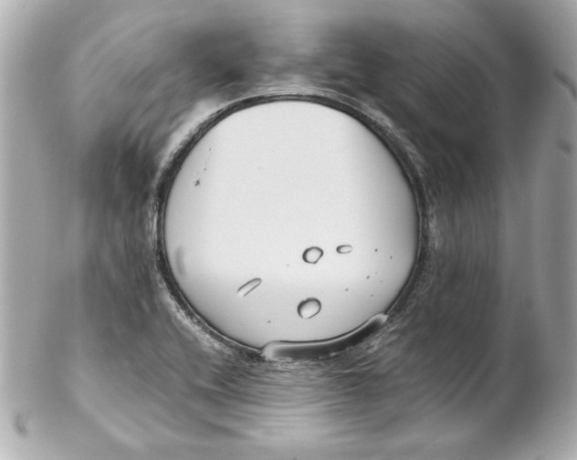 X0000102251416200808151806