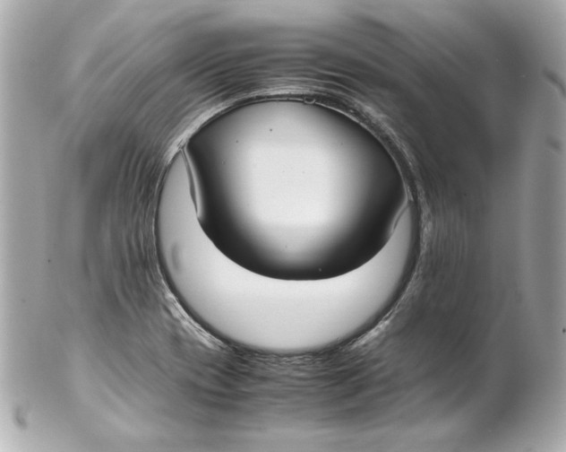 X0000102251417200808151806