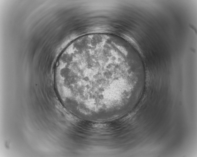 X0000102251419200808151806