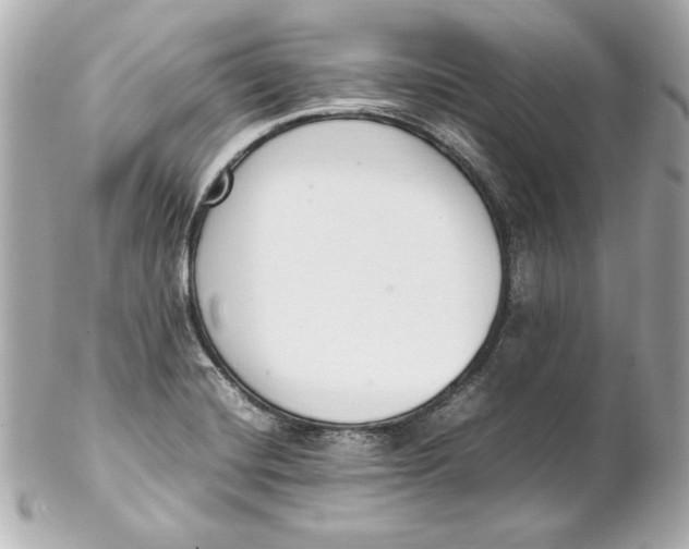 X0000102251420200808151806