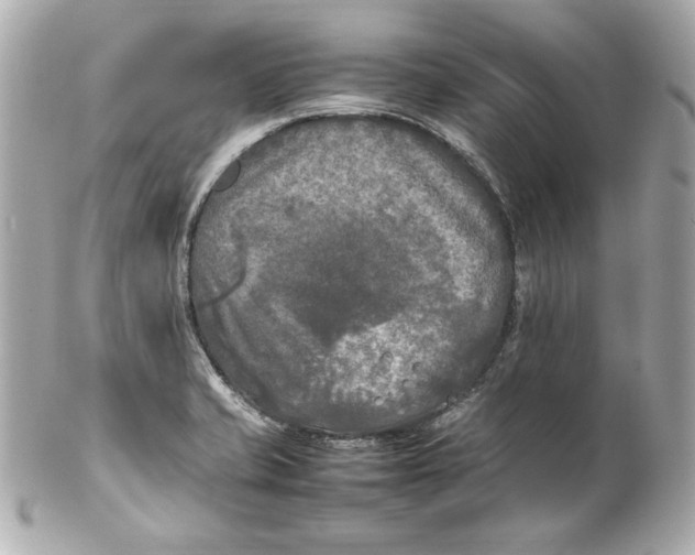 X0000102251421200808151806