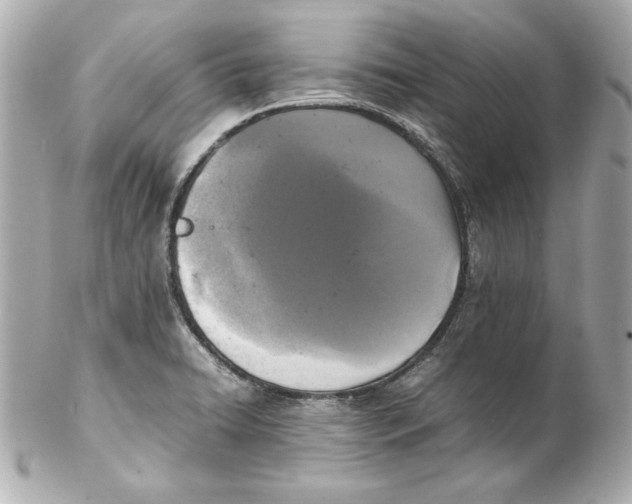 X0000102251422200808151806