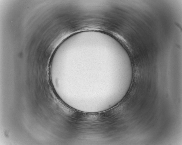 X0000102251423200808151806