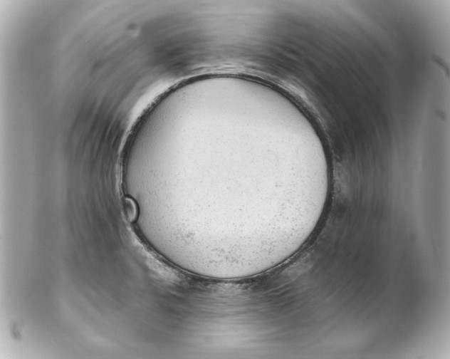 X0000102251424200808151806