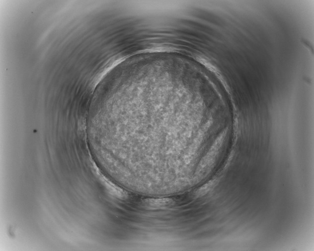 X0000102251425200808151806