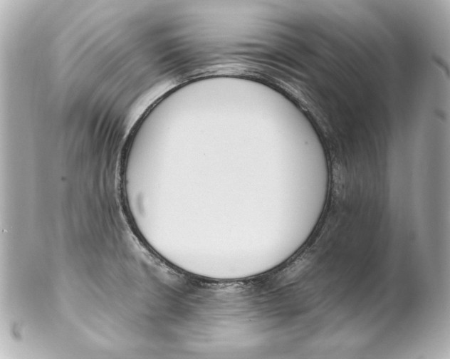 X0000102251426200808151806