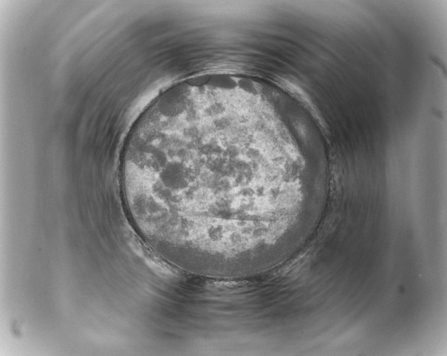 X0000102251427200808151806