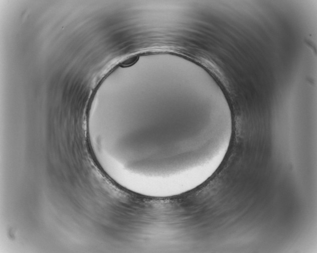 X0000102251428200808151806