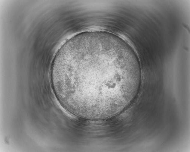 X0000102251429200808151806