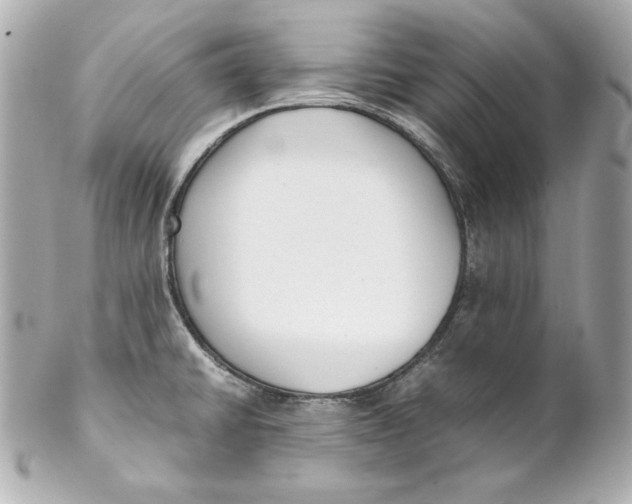 X0000102251430200808151806