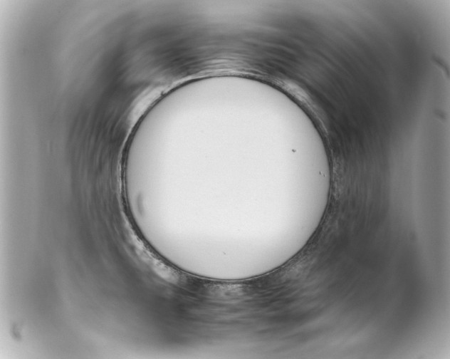 X0000102251431200808151806