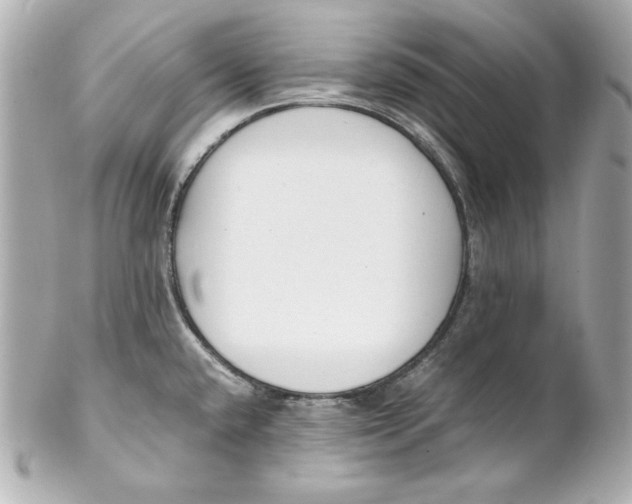 X0000102251432200808151806