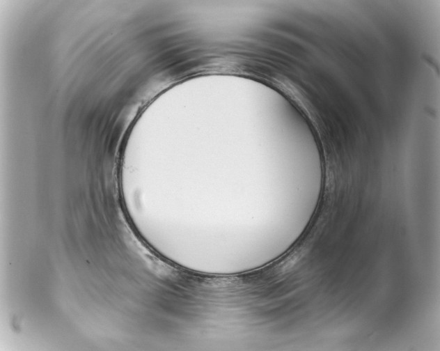 X0000102251434200808151807