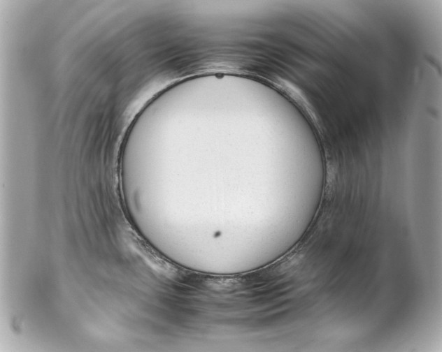 X0000102251435200808151807