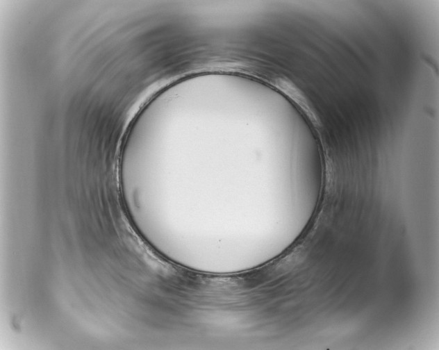 X0000102251436200808151807