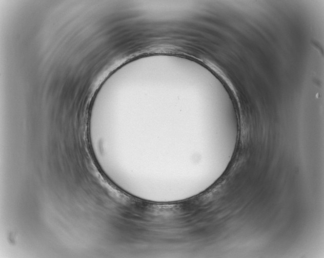 X0000102251437200808151807