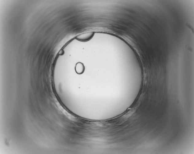 X0000102251438200808151807