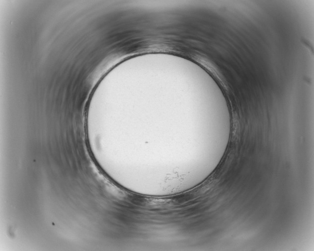 X0000102251439200808151807