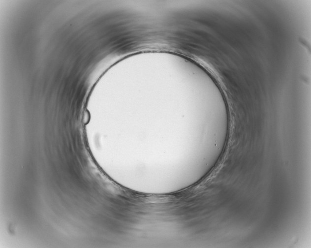 X0000102251440200808151807