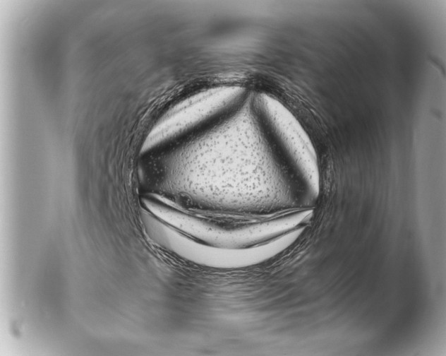 X0000102251441200808151806