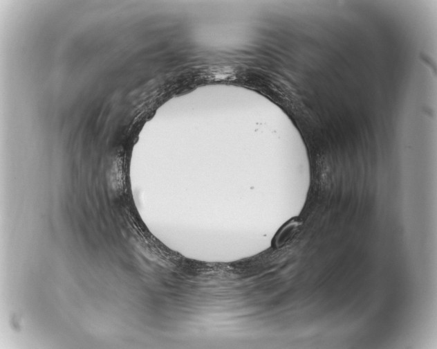 X0000102251442200808151806