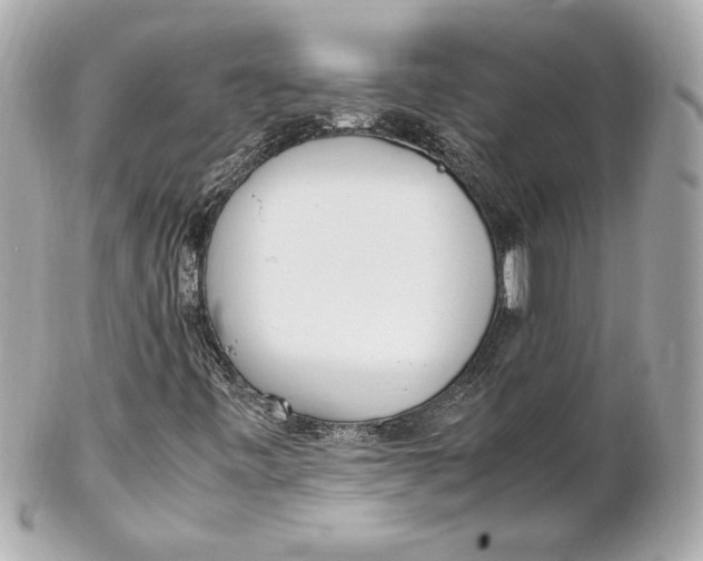 X0000102251443200808151806