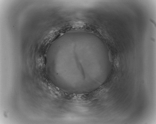 X0000102251445200808151806