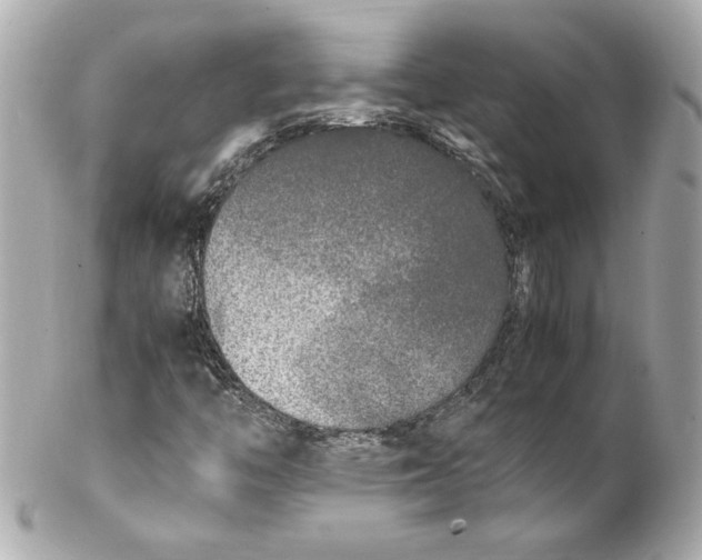 X0000102251446200808151806