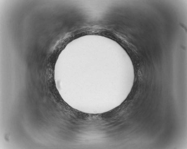 X0000102251447200808151806