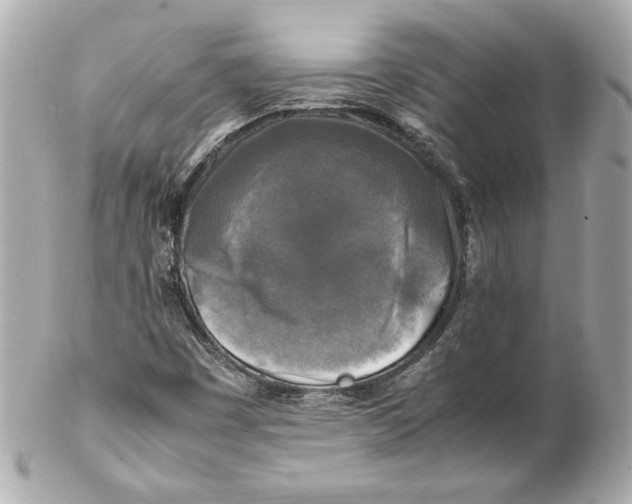 X0000102251449200808151806