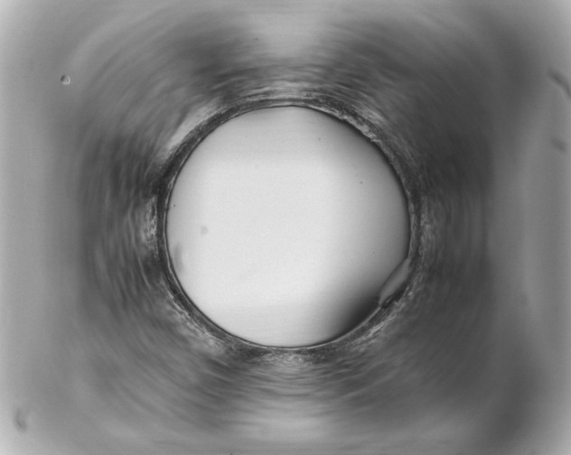 X0000102251450200808151806