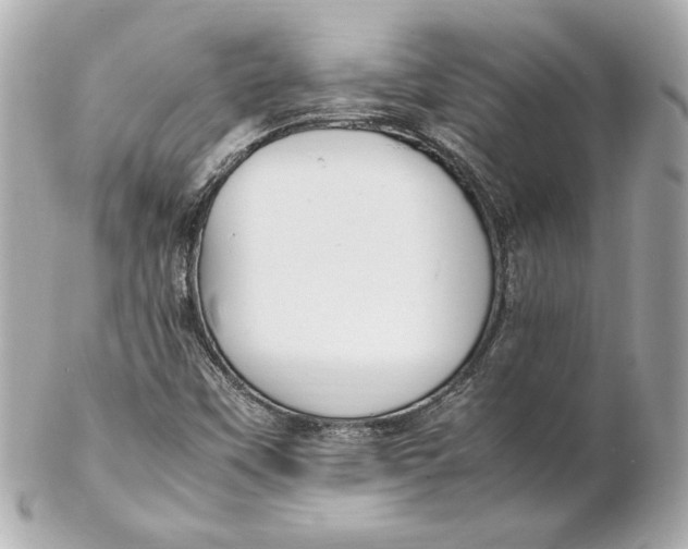 X0000102251451200808151806