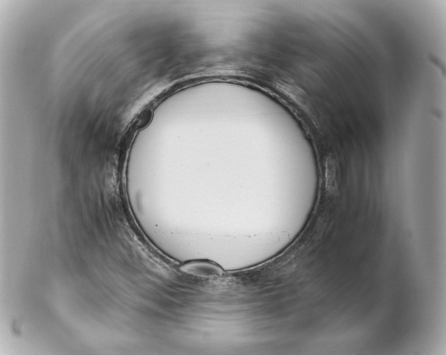 X0000102251452200808151806