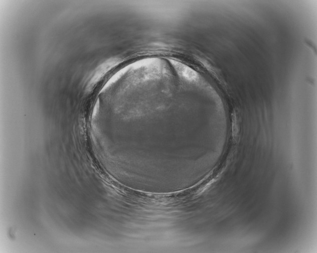 X0000102251453200808151806