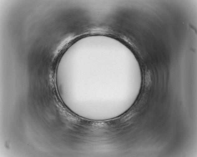 X0000102251454200808151806