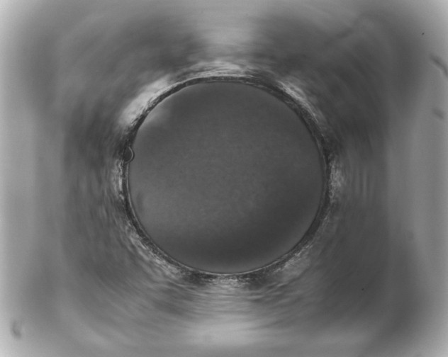 X0000102251455200808151806