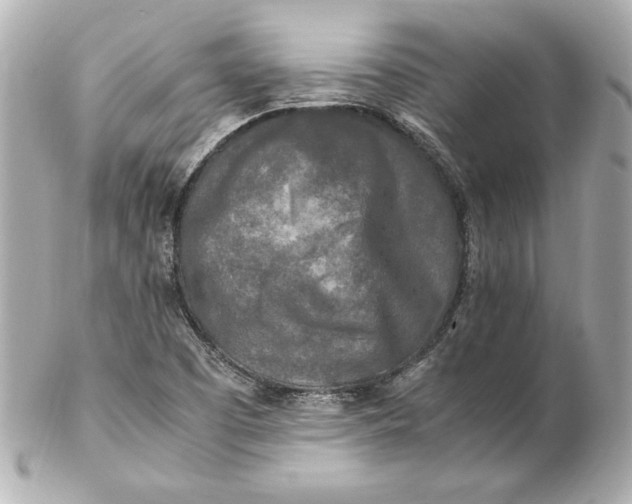 X0000102251457200808151806