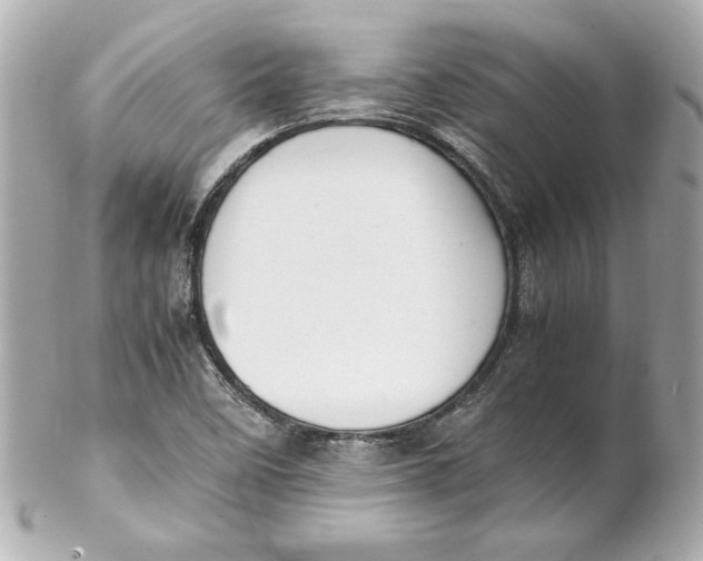 X0000102251458200808151805