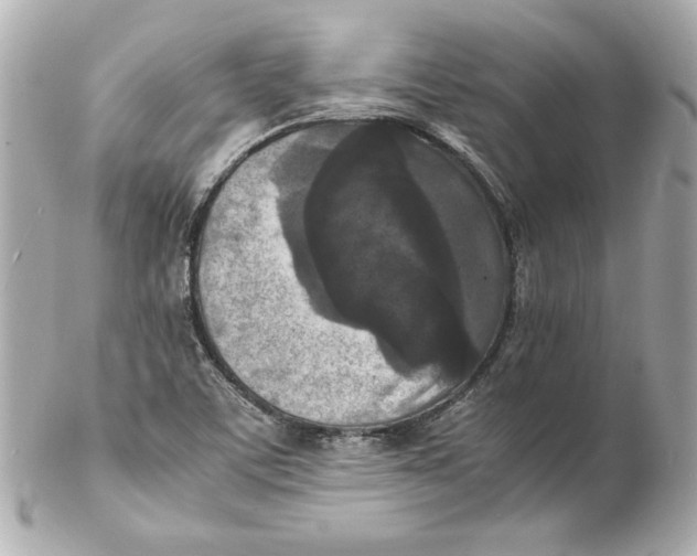 X0000102251459200808151805