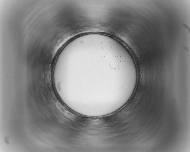 X0000102251460200808151805