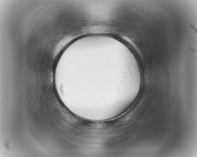 X0000102251461200808151805