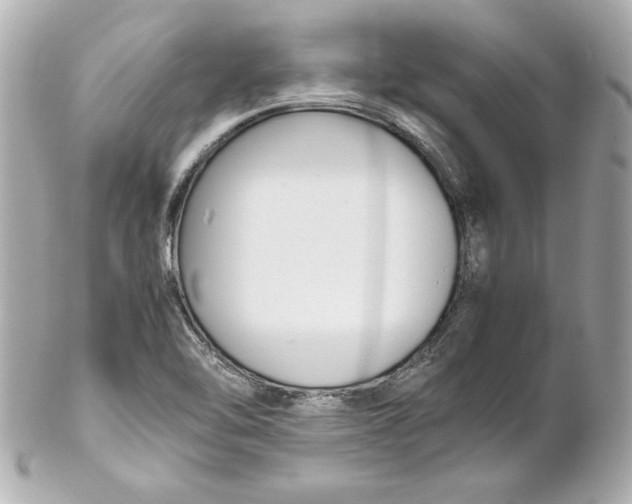 X0000102251462200808151805