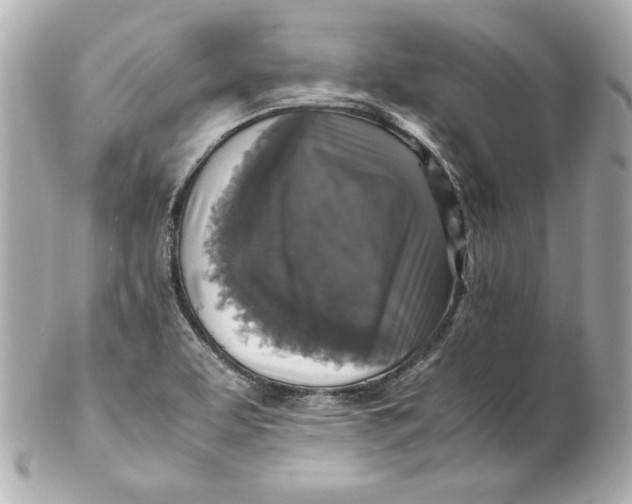 X0000102251463200808151805