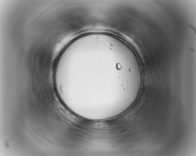 X0000102251464200808151805