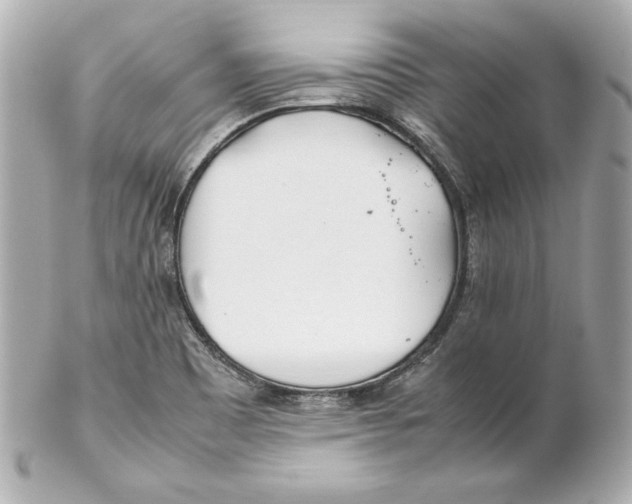 X0000102251465200808151805