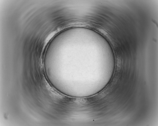 X0000102251466200808151805