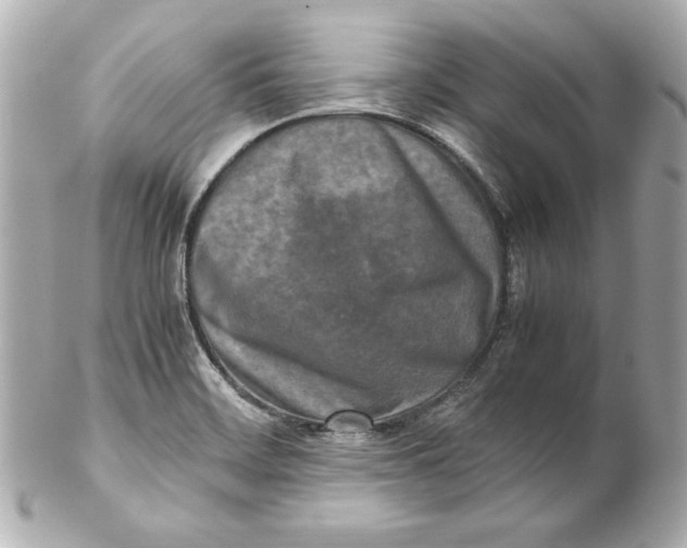 X0000102251468200808151805