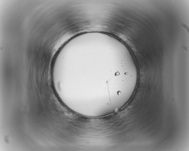 X0000102251469200808151805