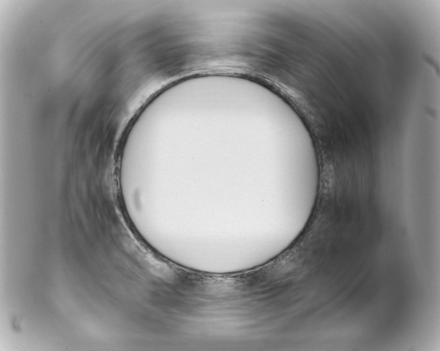 X0000102251470200808151805