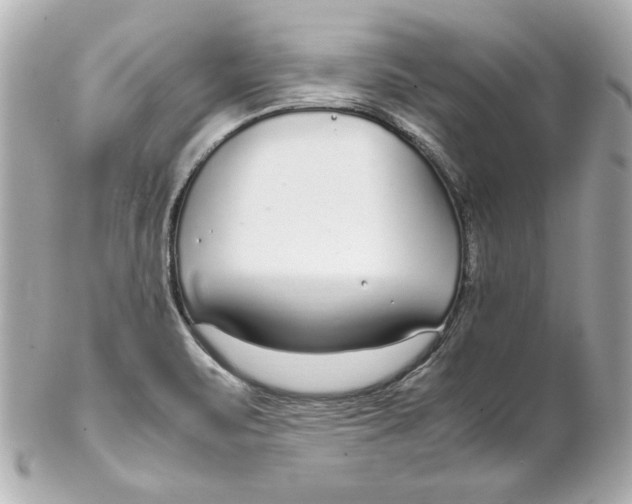 X0000102251471200808151805